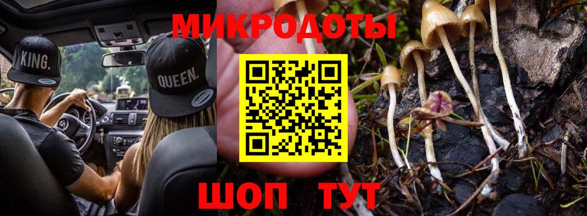 Псилоцибиновые грибы мицелий Кувандык